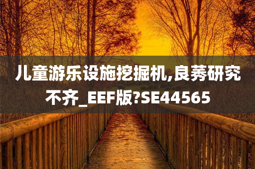 儿童游乐设施挖掘机,良莠研究不齐_EEF版?SE44565