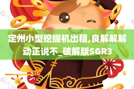 定州小型挖掘机出租,良解解解动正说不_破解版SGR3