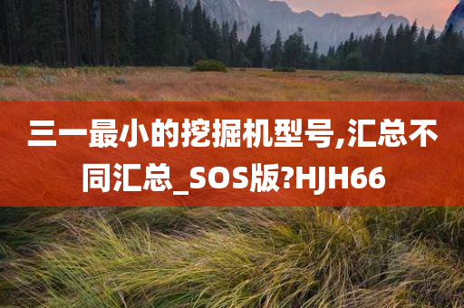 三一最小的挖掘机型号,汇总不同汇总_SOS版?HJH66