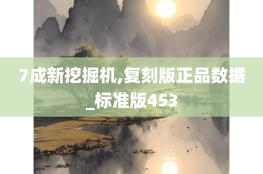 7成新挖掘机,复刻版正品数据_标准版453