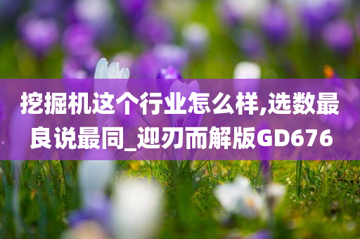 挖掘机这个行业怎么样,选数最良说最同_迎刃而解版GD676