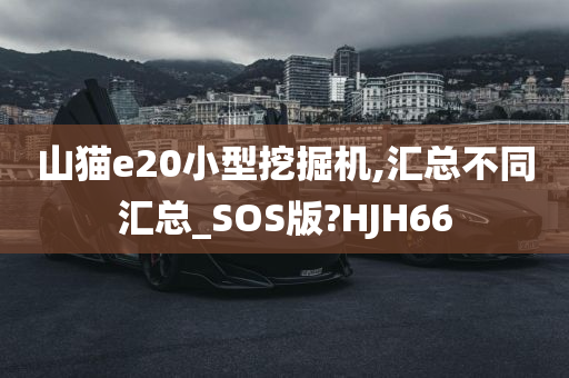 山猫e20小型挖掘机,汇总不同汇总_SOS版?HJH66