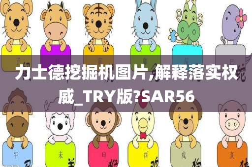 力士德挖掘机图片,解释落实权威_TRY版?SAR56