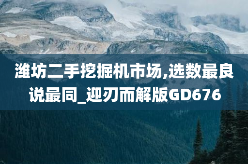 潍坊二手挖掘机市场,选数最良说最同_迎刃而解版GD676