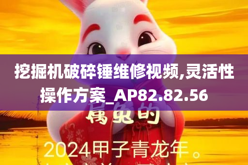 挖掘机破碎锤维修视频,灵活性操作方案_AP82.82.56