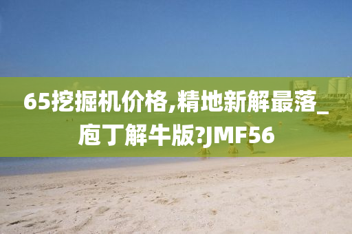 65挖掘机价格,精地新解最落_庖丁解牛版?JMF56