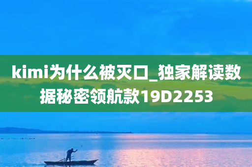 kimi为什么被灭口_独家解读数据秘密领航款19D2253