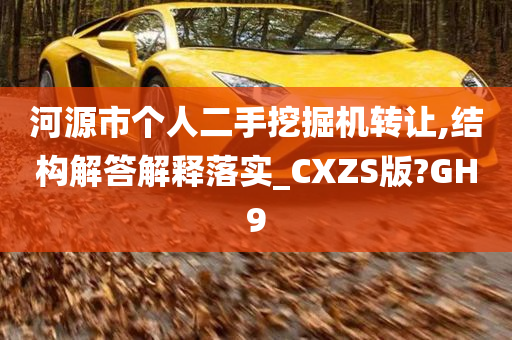 河源市个人二手挖掘机转让,结构解答解释落实_CXZS版?GH9