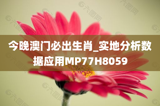 今晚澳门必出生肖_实地分析数据应用MP77H8059