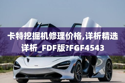 卡特挖掘机修理价格,详析精选详析_FDF版?FGF4543