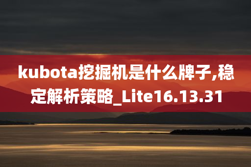 kubota挖掘机是什么牌子,稳定解析策略_Lite16.13.31