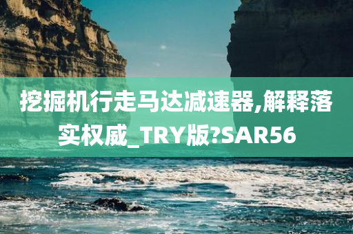 挖掘机行走马达减速器,解释落实权威_TRY版?SAR56