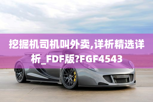 挖掘机司机叫外卖,详析精选详析_FDF版?FGF4543