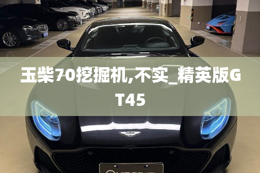 玉柴70挖掘机,不实_精英版GT45