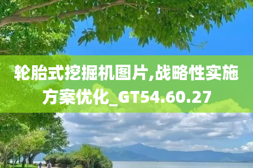 轮胎式挖掘机图片,战略性实施方案优化_GT54.60.27