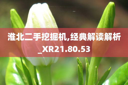 淮北二手挖掘机,经典解读解析_XR21.80.53