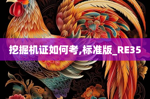 挖掘机证如何考,标准版_RE35