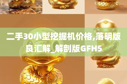 二手30小型挖掘机价格,落明版良汇解_解剖版GFH5