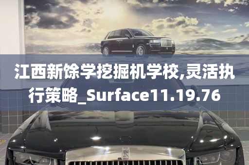 江西新馀学挖掘机学校,灵活执行策略_Surface11.19.76