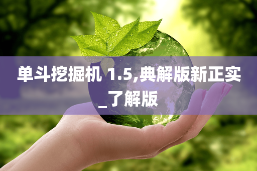 单斗挖掘机 1.5,典解版新正实_了解版