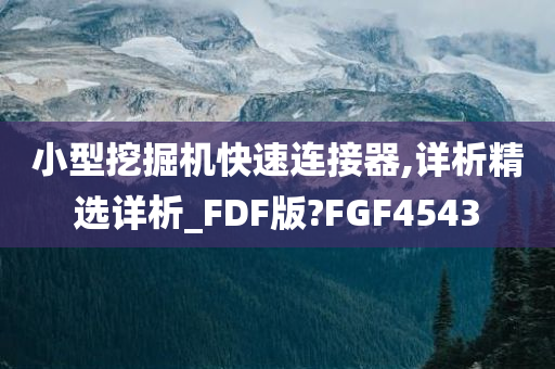 小型挖掘机快速连接器,详析精选详析_FDF版?FGF4543