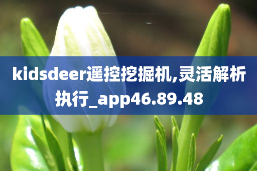 kidsdeer遥控挖掘机,灵活解析执行_app46.89.48