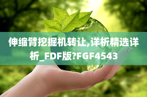 伸缩臂挖掘机转让,详析精选详析_FDF版?FGF4543