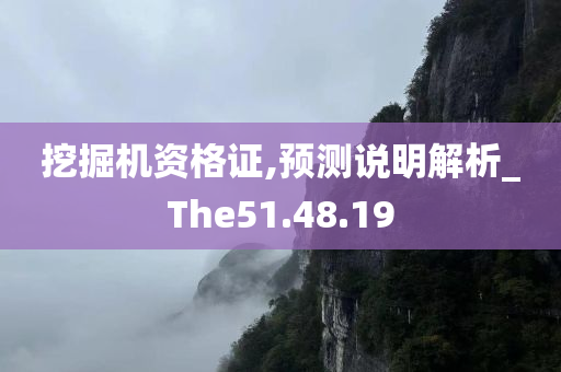 挖掘机资格证,预测说明解析_The51.48.19