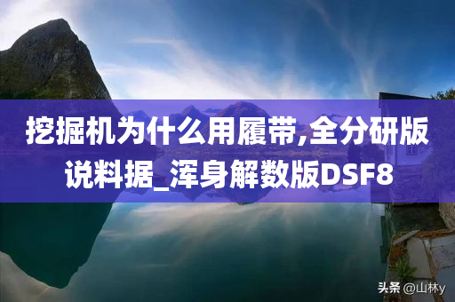 挖掘机为什么用履带,全分研版说料据_浑身解数版DSF8