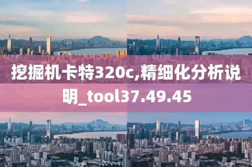 挖掘机卡特320c,精细化分析说明_tool37.49.45