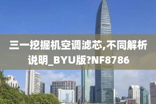 三一挖掘机空调滤芯,不同解析说明_BYU版?NF8786