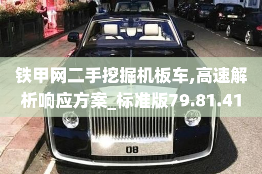 铁甲网二手挖掘机板车,高速解析响应方案_标准版79.81.41