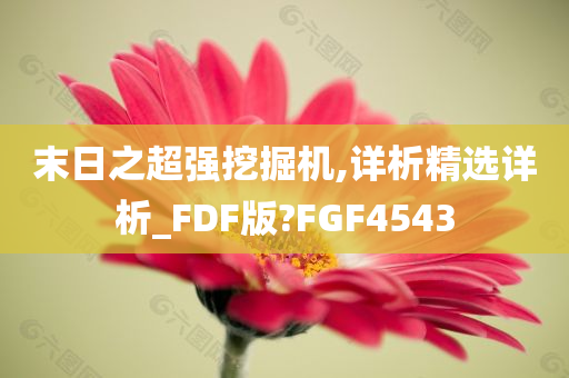 末日之超强挖掘机,详析精选详析_FDF版?FGF4543