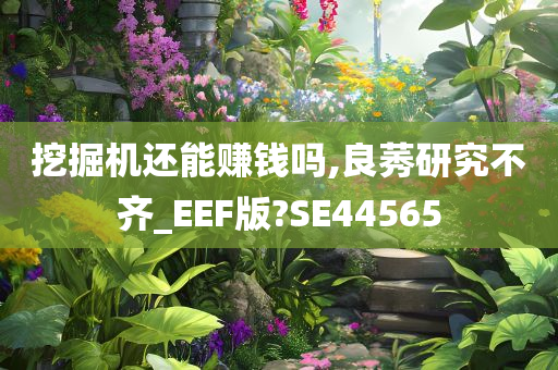 挖掘机还能赚钱吗,良莠研究不齐_EEF版?SE44565