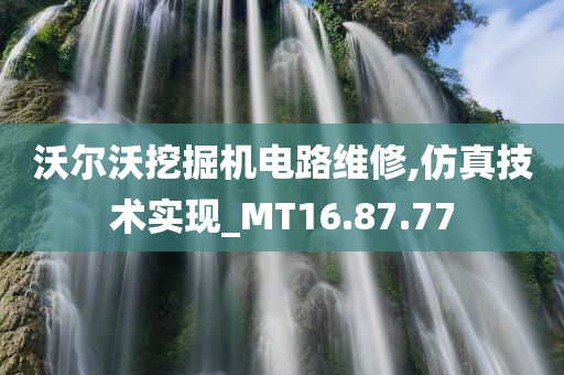 沃尔沃挖掘机电路维修,仿真技术实现_MT16.87.77