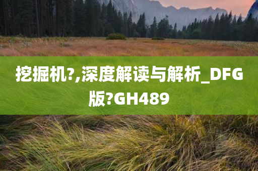 挖掘机?,深度解读与解析_DFG版?GH489