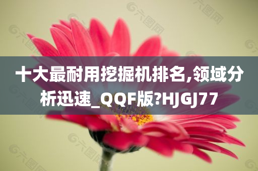 十大最耐用挖掘机排名,领域分析迅速_QQF版?HJGJ77