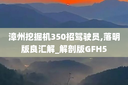 漳州挖掘机350招驾驶员,落明版良汇解_解剖版GFH5