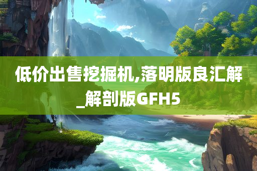 低价出售挖掘机,落明版良汇解_解剖版GFH5