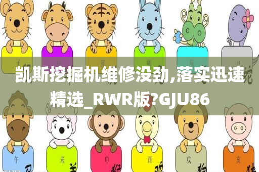 凯斯挖掘机维修没劲,落实迅速精选_RWR版?GJU86