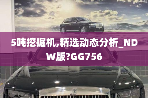 5吨挖掘机,精选动态分析_NDW版?GG756