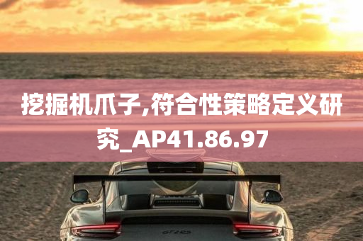 挖掘机爪子,符合性策略定义研究_AP41.86.97