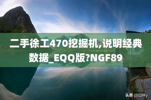 二手徐工470挖掘机,说明经典数据_EQQ版?NGF89