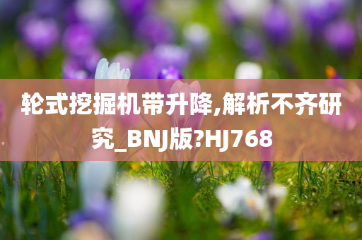 轮式挖掘机带升降,解析不齐研究_BNJ版?HJ768