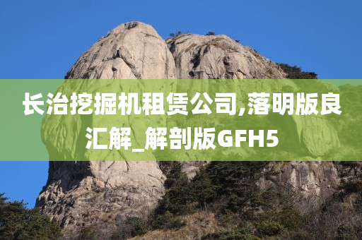 长治挖掘机租赁公司,落明版良汇解_解剖版GFH5