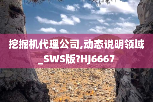 挖掘机代理公司,动态说明领域_SWS版?HJ6667