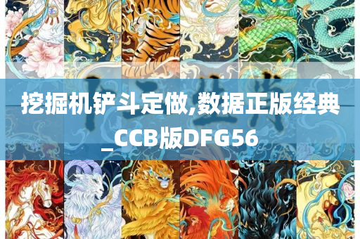 挖掘机铲斗定做,数据正版经典_CCB版DFG56