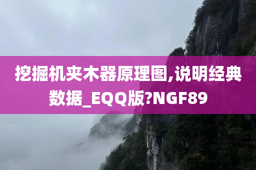 挖掘机夹木器原理图,说明经典数据_EQQ版?NGF89