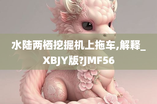 水陆两栖挖掘机上拖车,解释_XBJY版?JMF56