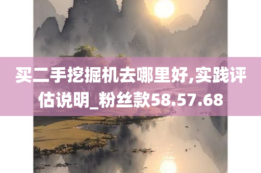 买二手挖掘机去哪里好,实践评估说明_粉丝款58.57.68